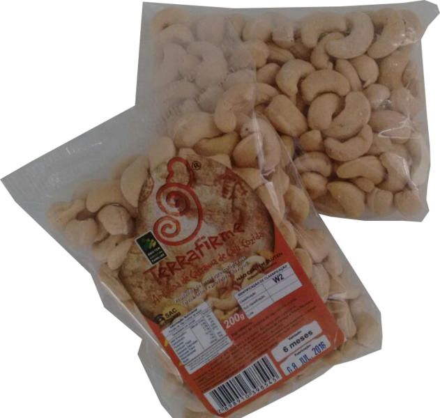Castanha 1